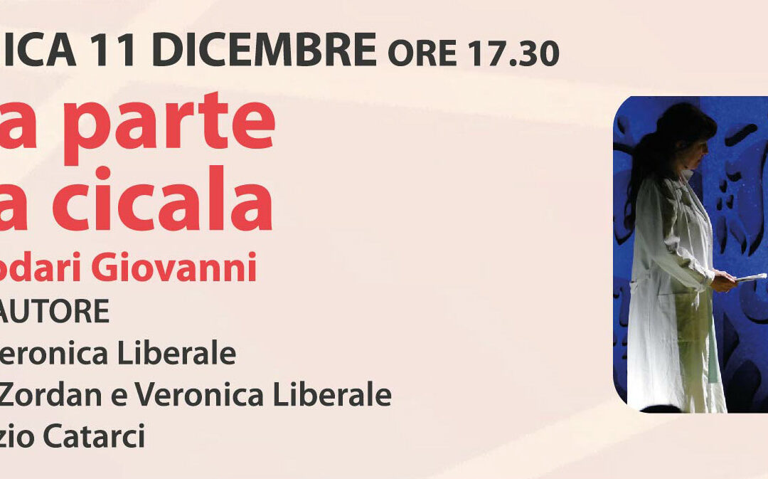 DALLA PARTE DELLA CICALA